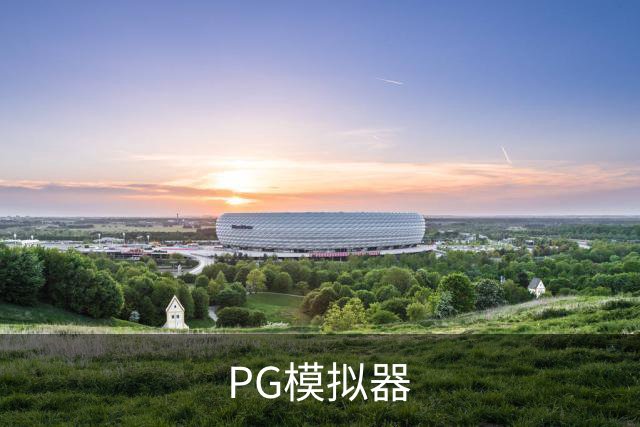 PG模拟器公司简介